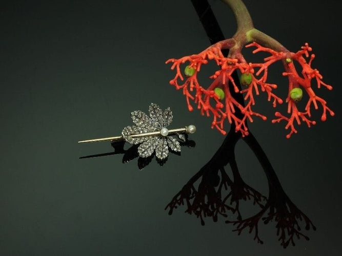 Broche Broche diamant, perle 58 Facettes 13361-0011