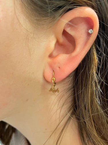 Boucles d'oreilles DORMEUSES CHIENS 58 Facettes 047051