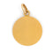 Collier Pendentif Or jaune 58 Facettes 1783185CN