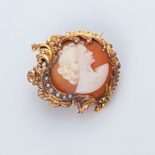 Broche Broche Camée coquillage 58 Facettes JE22