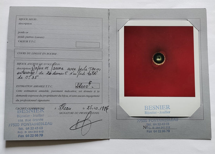 Bague 60 Bague Perle de Tahiti & diamants 58 Facettes 466