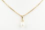 Collier Collier et pendentif perle en or jaune 58 Facettes 21PERLE-62
