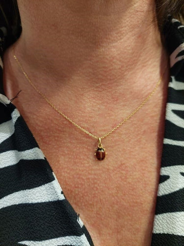 Pendentif PENDENTIF COCCINELLE 58 Facettes 069341