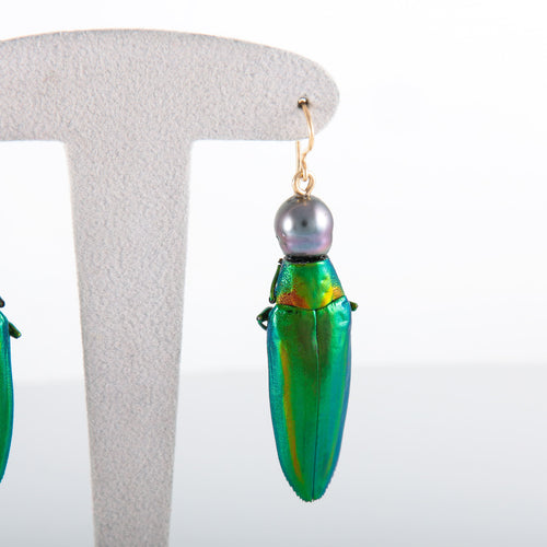 Boucles d'oreilles Boucles d'oreilles Scarabée Perles de Tahiti 58 Facettes 386.230