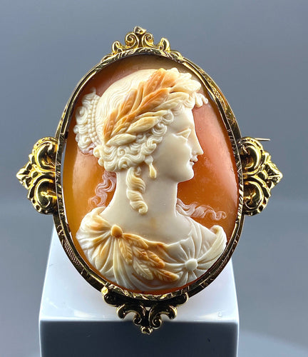 Broche Broche or jaune camée coquille vers 1850 58 Facettes AB302