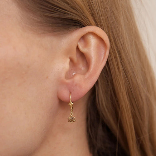 Boucles d'oreilles DORMEUSES OR & DIAMANTS 58 Facettes BO/220072-73 RIV