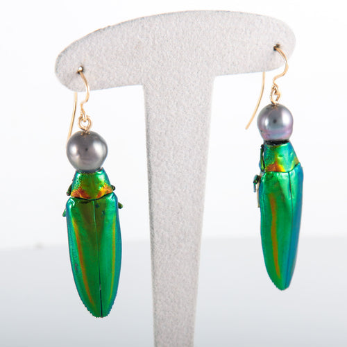 Boucles d'oreilles Boucles d'oreilles Scarabée Perles de Tahiti 58 Facettes 386.230