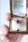Bague Bague marguerite spinelle rouge entourage diamants 58 Facettes