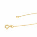 Collier Collier Chaîne + pendentif Or jaune Diamant 58 Facettes 578620CD