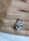 Bague Bague Or blanc et Diamants 58 Facettes RNG0610