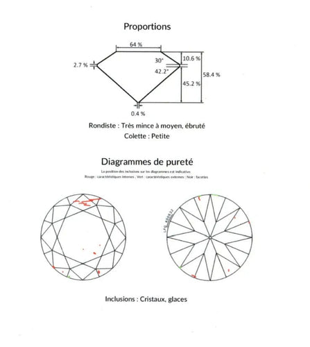 Gemstone Diamant 3,18ct D SI2 58 Facettes BO/230069