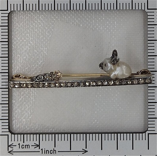 Broche Broche Diamants Lapin avec une carotte 58 Facettes 23139-0136