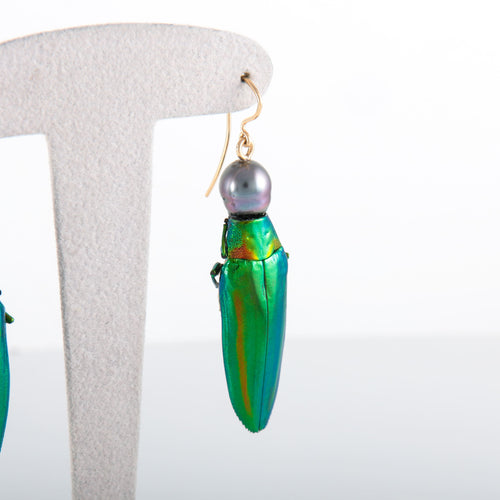 Boucles d'oreilles Boucles d'oreilles Scarabée Perles de Tahiti 58 Facettes 386.230