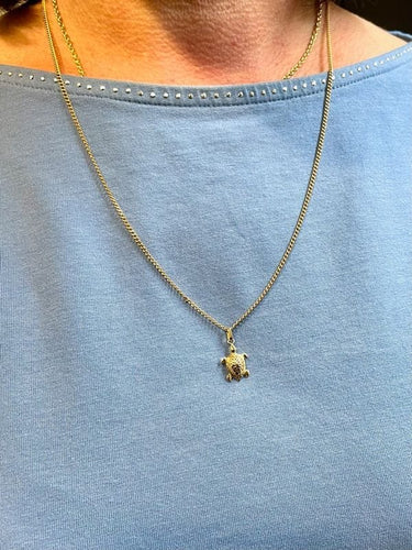 Pendentif PENDENTIF TORTUE 58 Facettes 049771