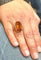 Bague 55 Bague ancienne or et citrine 58 Facettes