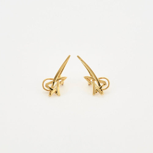 Boucles d'oreilles TIFFANY & CO – PALOMA PICASSO – Boucles d’oreilles Etoile 58 Facettes