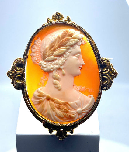 Broche Broche or jaune camée coquille vers 1850 58 Facettes AB302