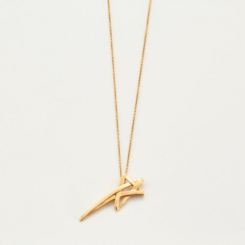 Collier TIFFANY & CO – PALOMA PICASSO- Collier Etoile 58 Facettes