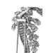 Broche Broche Boucheron, "Plume", en platine et or blanc, diamants. 58 Facettes 29435