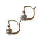 Boucles d'oreilles Dormeuses anciennes en or, platine, et diamants 58 Facettes